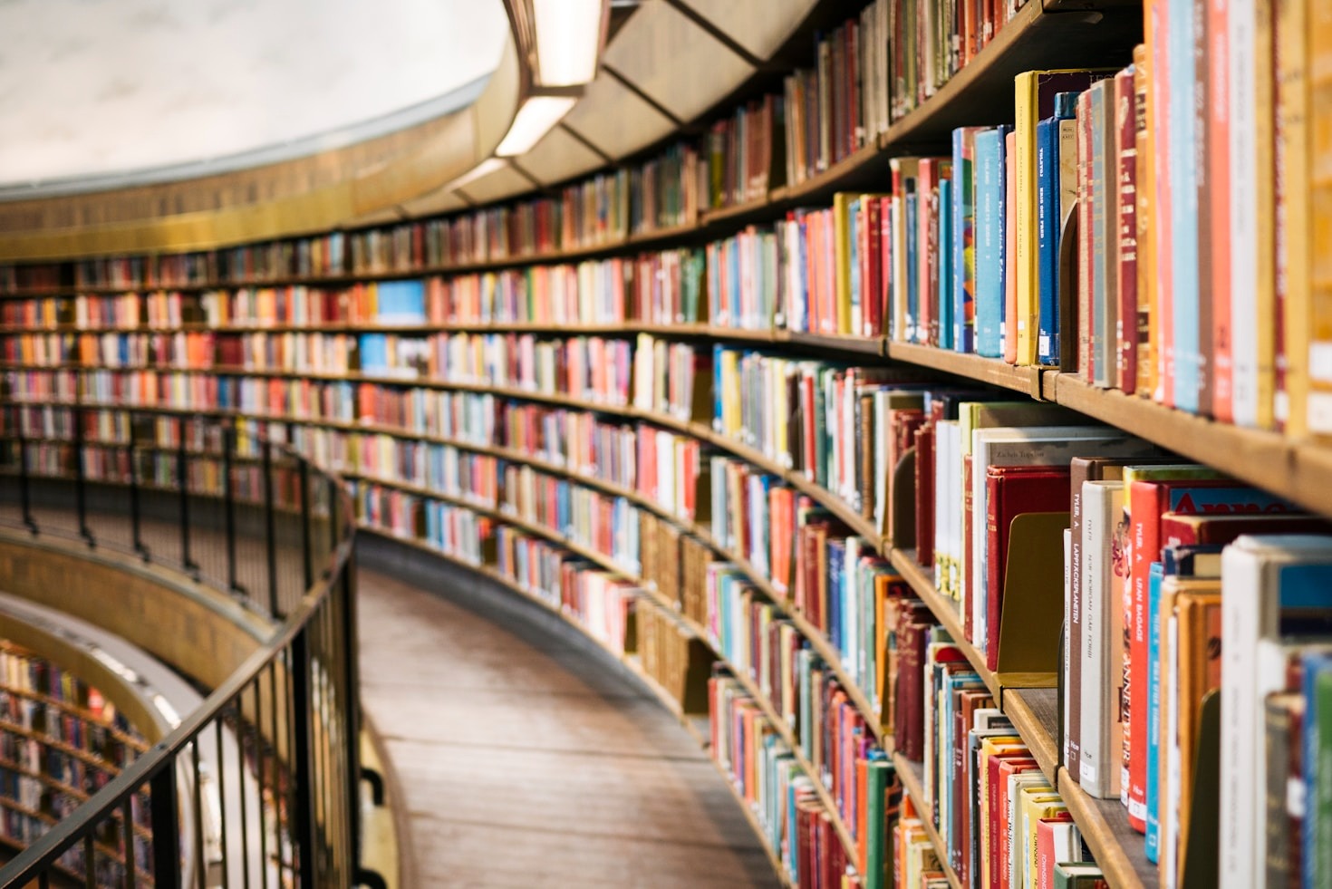 The Role of Curiosity in Mathematical Exploration